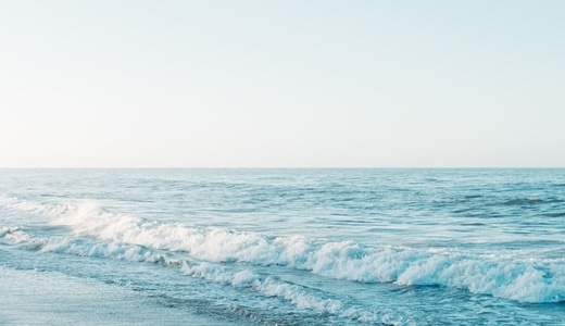 レッドジョーカー先輩の年齢と身長・本名は？高校も詳しく！